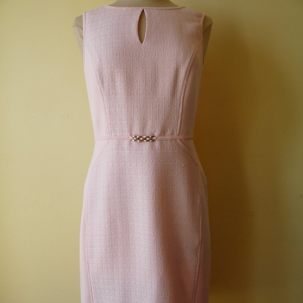 Ellen Tracy Womens size 8 Pink Career Dress